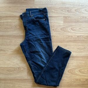 Gap High Rise True Skinny Jean-14 Tall